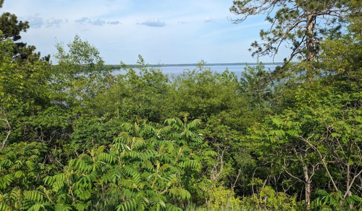 The History of the Savanna State Forest
